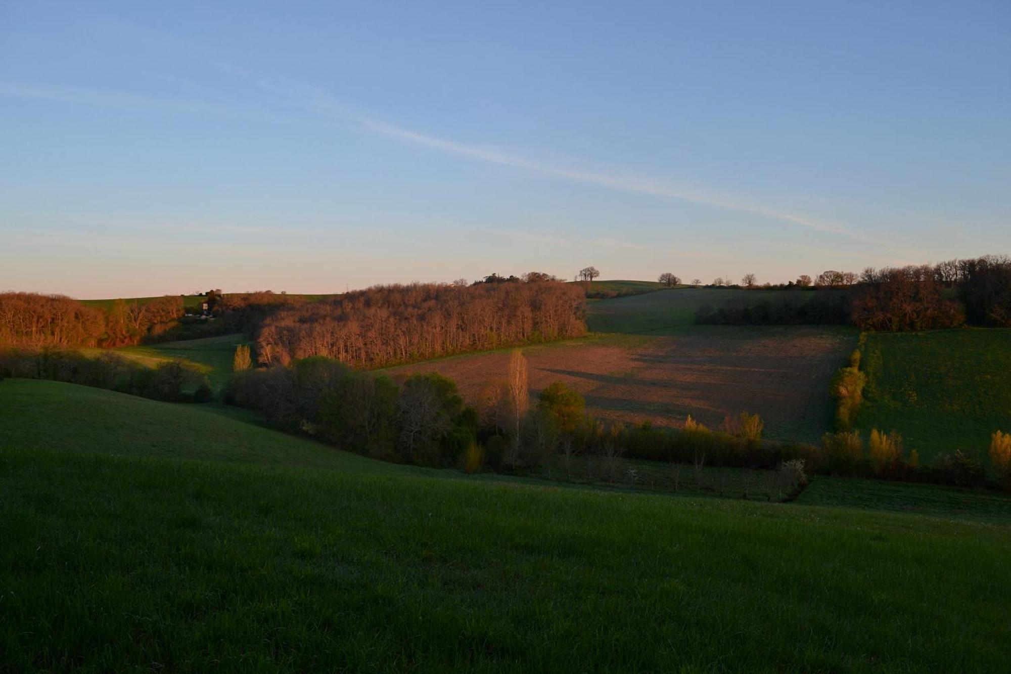 Chambre D'Hote Au Domaine Terre De Chenes Saint-Paul-de-Baise Exterior foto